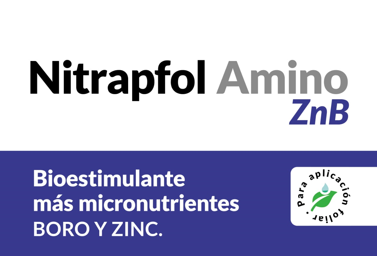 Nitrapfol Amino ZnB